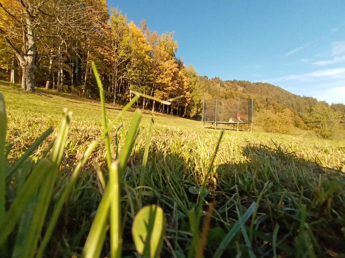 Waldner's Appartamento Hermagor-Pressegger See